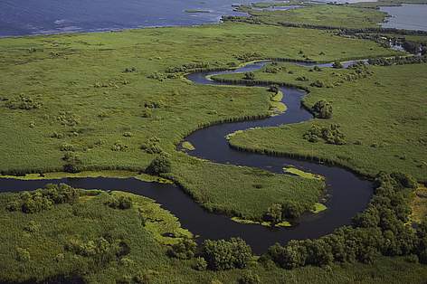 Delta Dunarii, un paradis natural care trebuie protejat
© Daniel Petrescu rel=