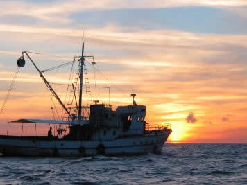 Barco pesquero de atún
© WWF rel=